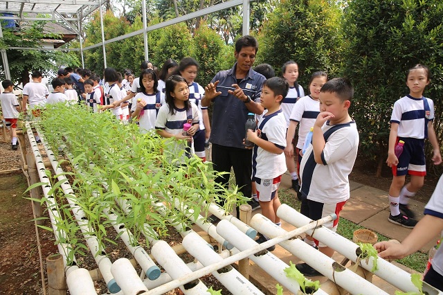 Program Green School Paramount Land,