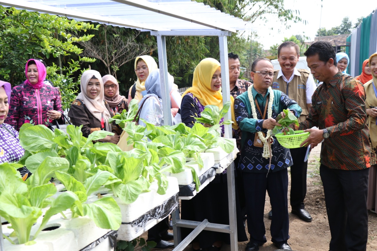 Wakil Bupati Tangerang, Mad Romli saat meninjau Kampung KB di Desa Pangkat yang mengikuti lomba tingkat nasional.