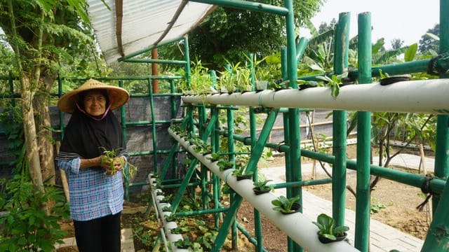 Para lansia saat berkebun di Rumah Perlindungan Sosial, di Jalan Iskandar Muda Pintu Air 10 No. 1, Kecamatan Neglasari, Kota Tangerang.