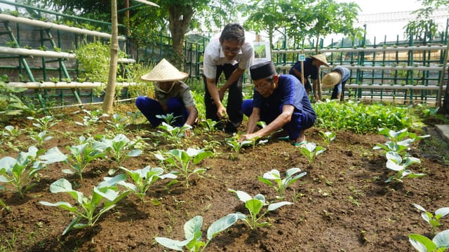 Para lansia saat berkebun di Rumah Perlindungan Sosial, di Jalan Iskandar Muda Pintu Air 10 No. 1, Kecamatan Neglasari, Kota Tangerang.