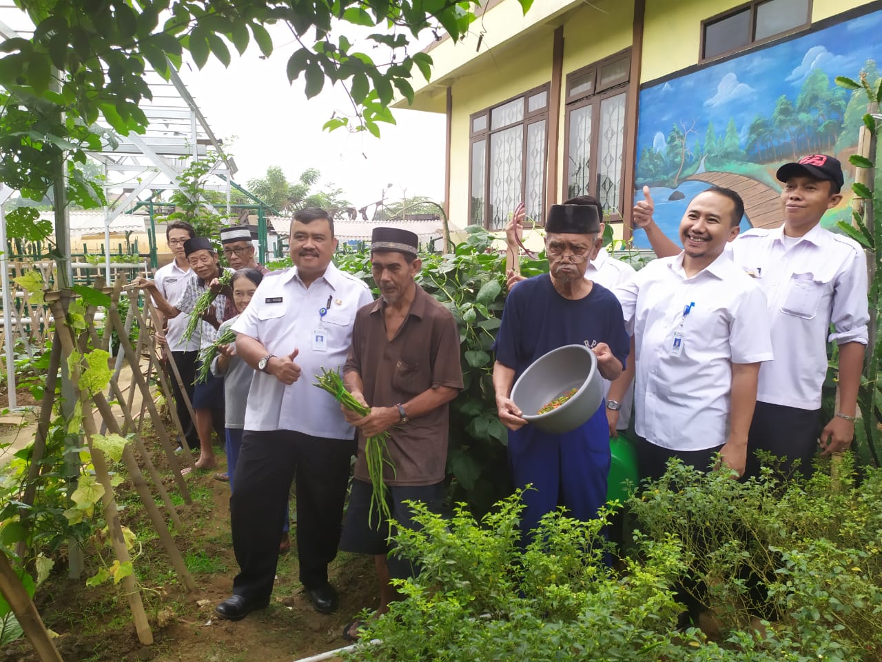 Lansia saat panen hasil berkebunnya.