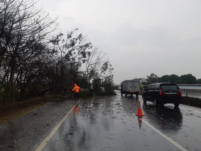 Terlihat beberapa pohon tumbang akibat di terjang angin saat hujan deras di tol Tangerang-Merak Km 65 arah Jakarta.