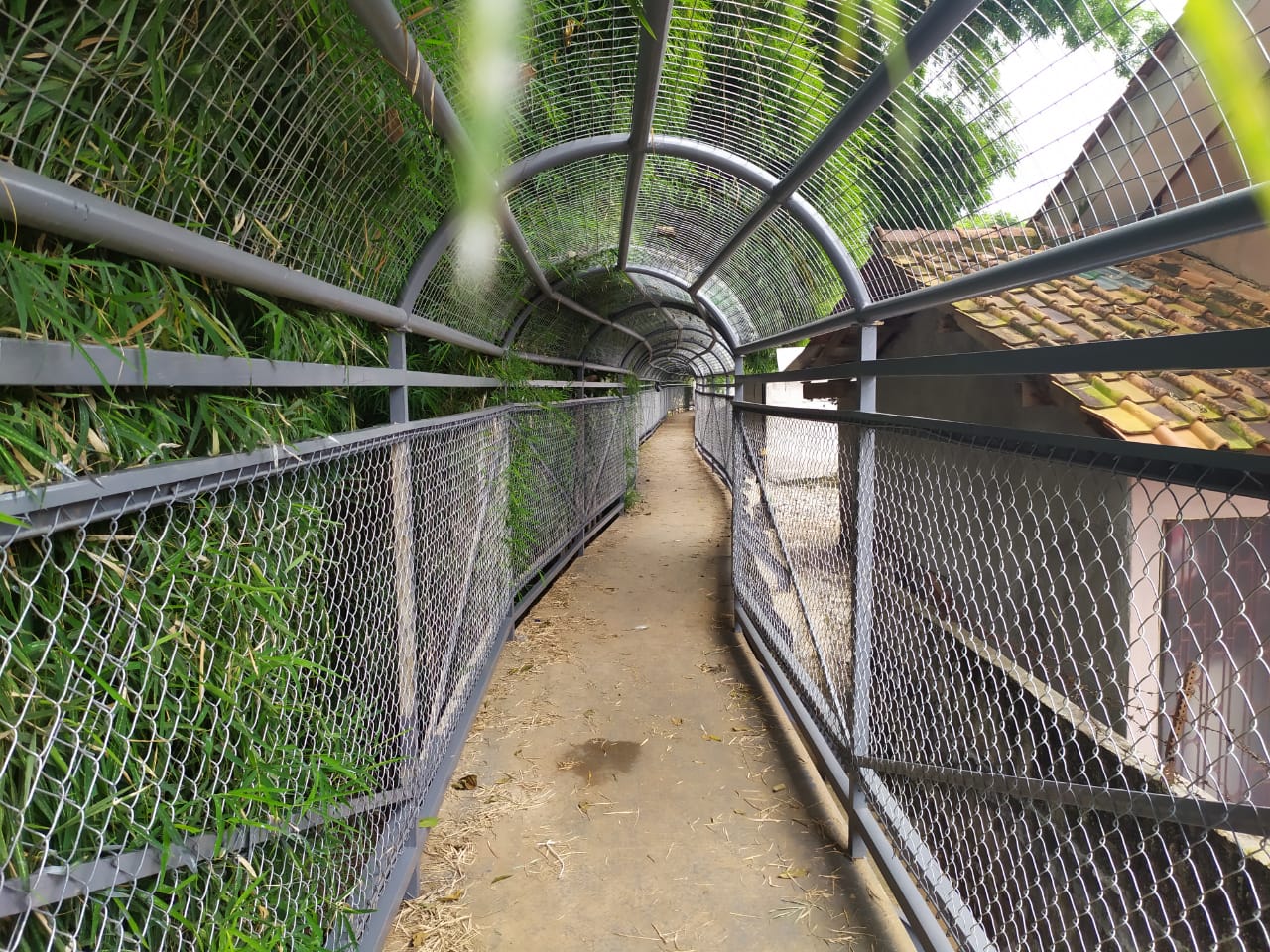 Taman Hutan Kota Jombang di Kelurahan Jombang, Kecamatan Ciputat, Tangsel.