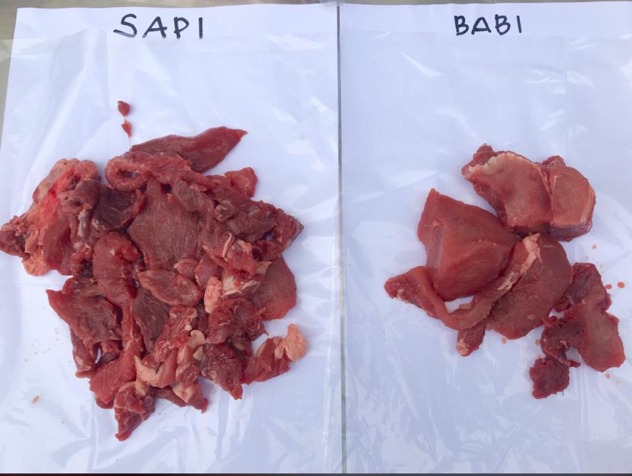 barang bukti daging babi dan sapi.