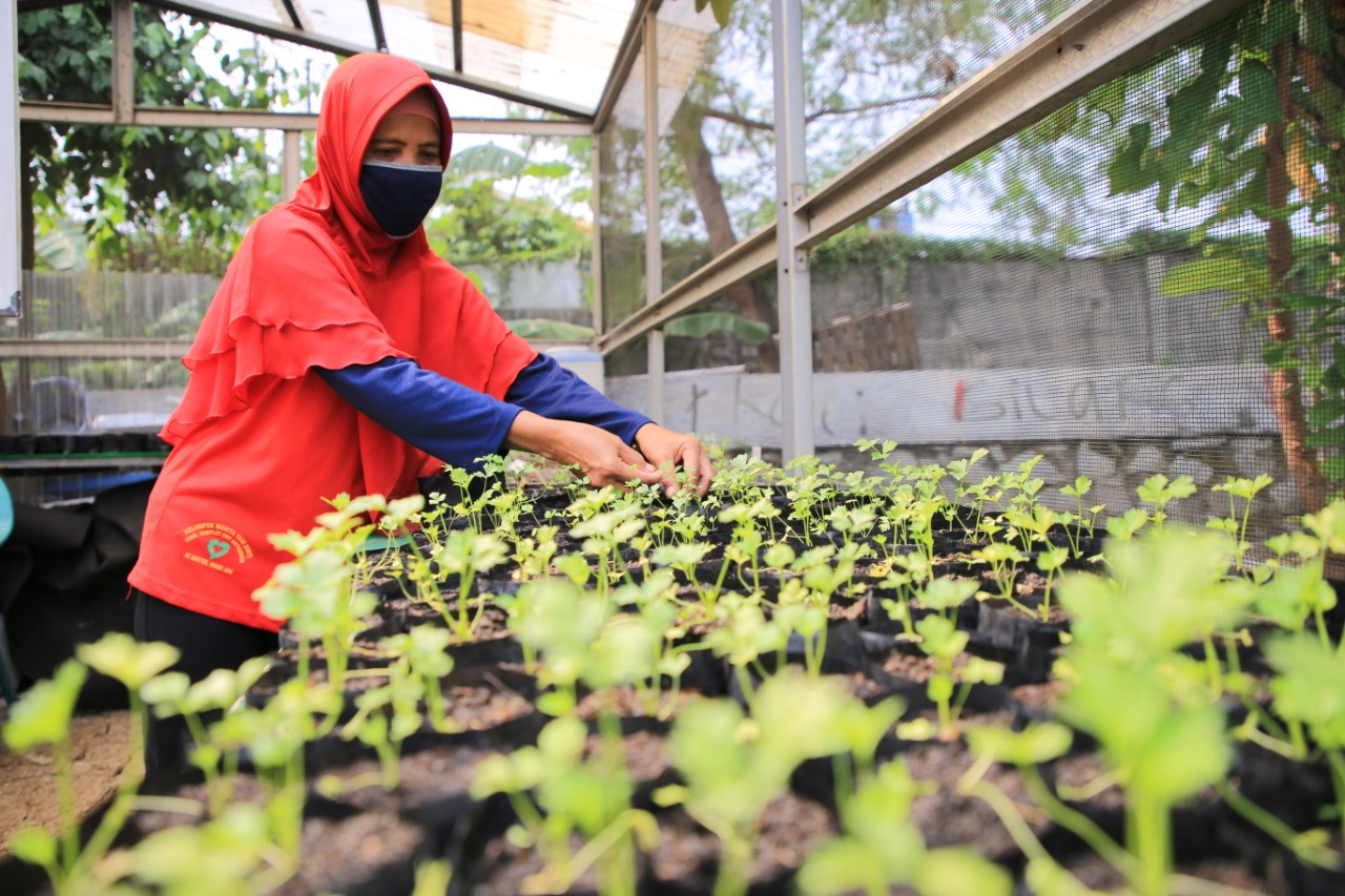 Seorang wanita sedang menyiram tanaman.