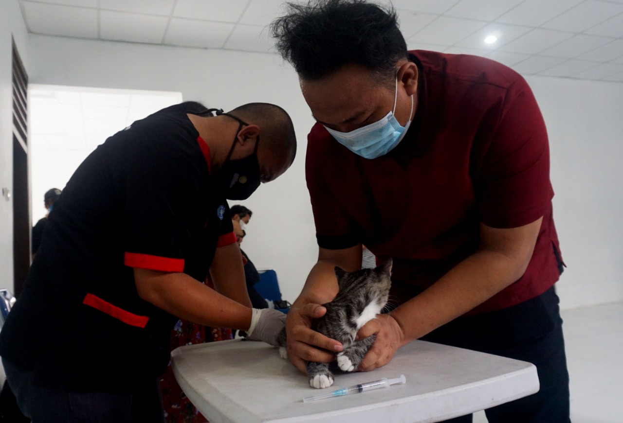 Seorang pecinta hewan membawa hewan peliharaanya jenis kucing dalam vaksinasi rabies massal gratis di klinik hewan milik Dinas Ketahanan Pangan Kota Tangerang, Rabu (3/3/2021) siang.