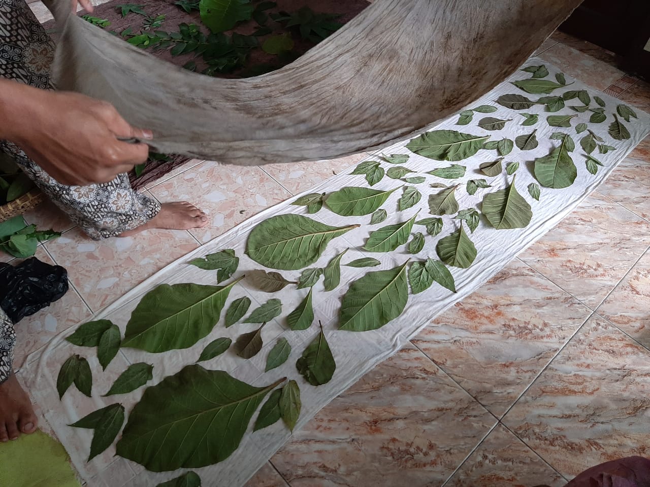 Proses pembuatan kerajinan batik ecoprint.