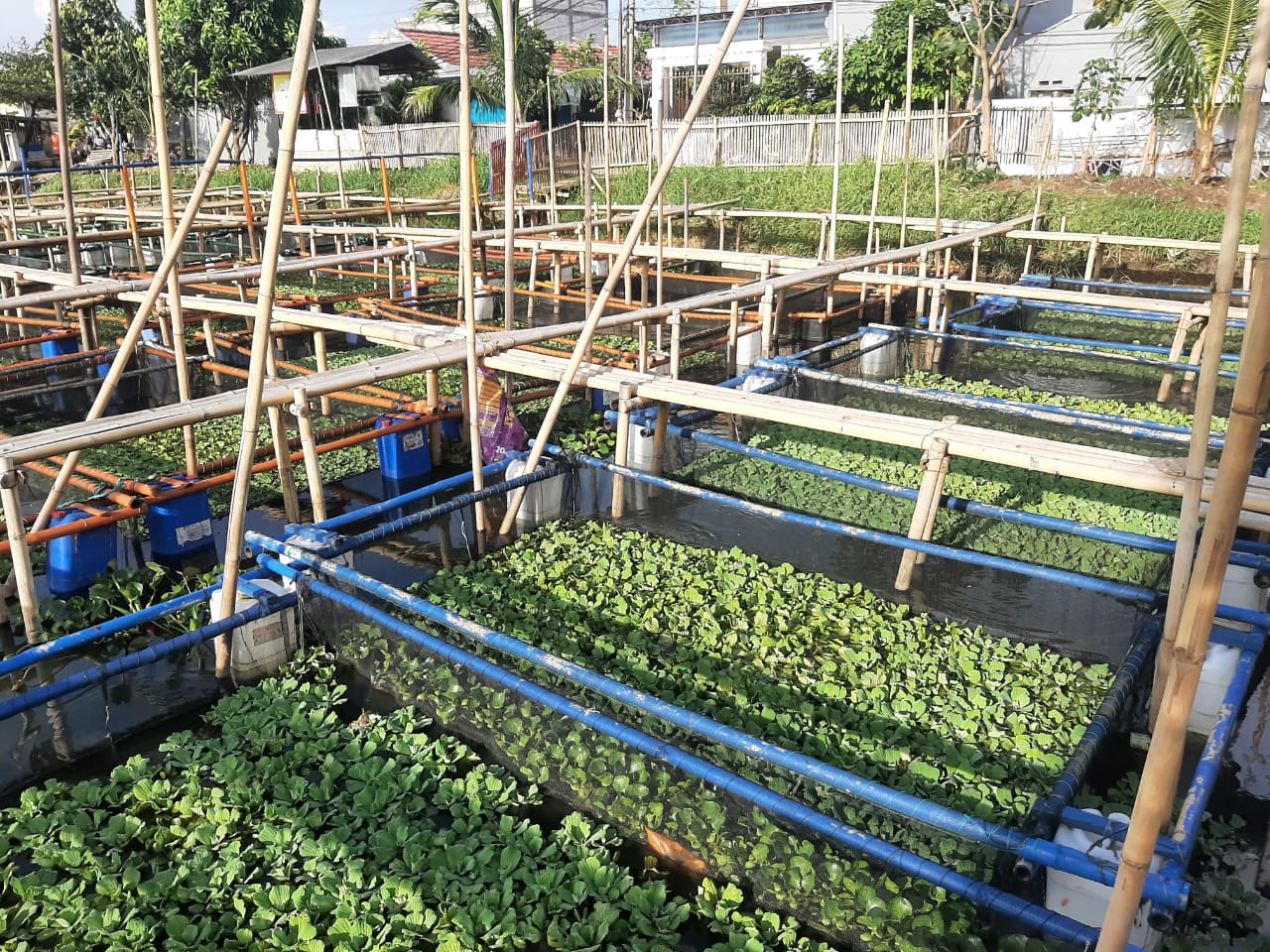 Tempat wisata keramba yang berlokasi di Perumahan Garden City di RW 22, Kelurahan Gebang Raya, Kecamatan Periuk, Kota Tangerang, Rabu (31/3/2021).