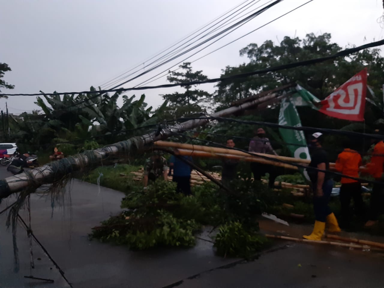 Pohon beringin berukuran besar yang terletak tepat di Danau Sasak Tinggi, Jalan Pajajaran, Pamulang, Tangerang Selatan, roboh hingga menutupi jalan, Kamis (6/5/2021).