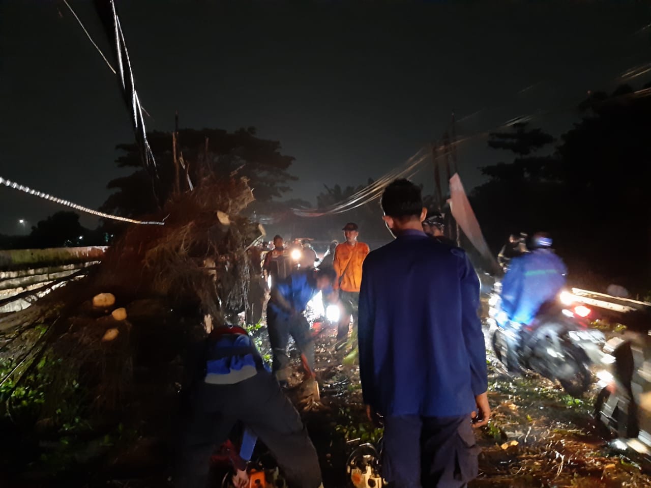 Petugas gabungan mengevakuasi pohon tua berukuran besar dan tiang listrik yang roboh hingga menghalangi Jalan Pajajaran, Pamulang, Tangerang Selatan, Kamis (6/5/2021).