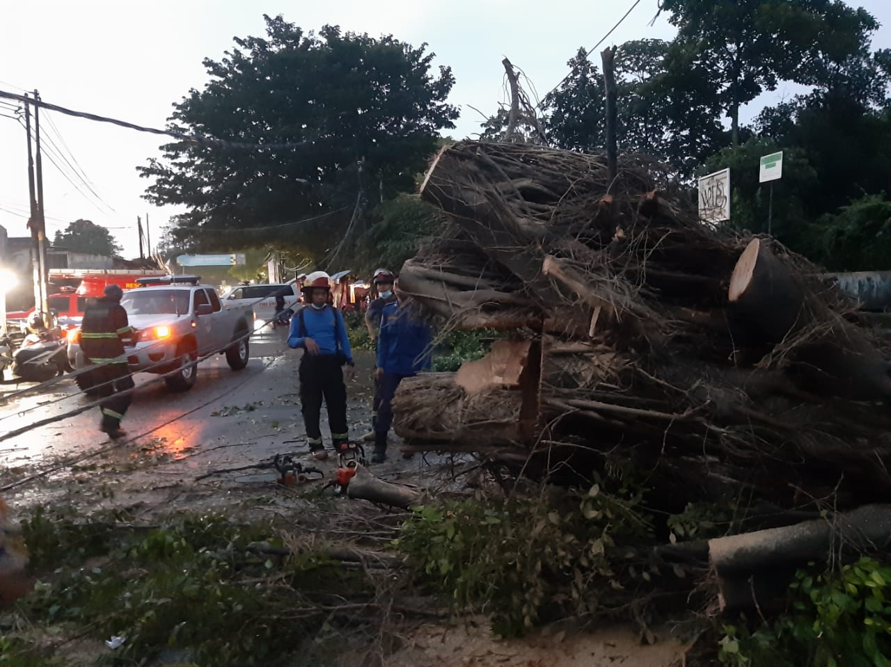 Pohon beringin berukuran besar yang terletak tepat di Danau Sasak Tinggi, Jalan Pajajaran, Pamulang, Tangerang Selatan, roboh hingga menutupi jalan, Kamis (6/5/2021).