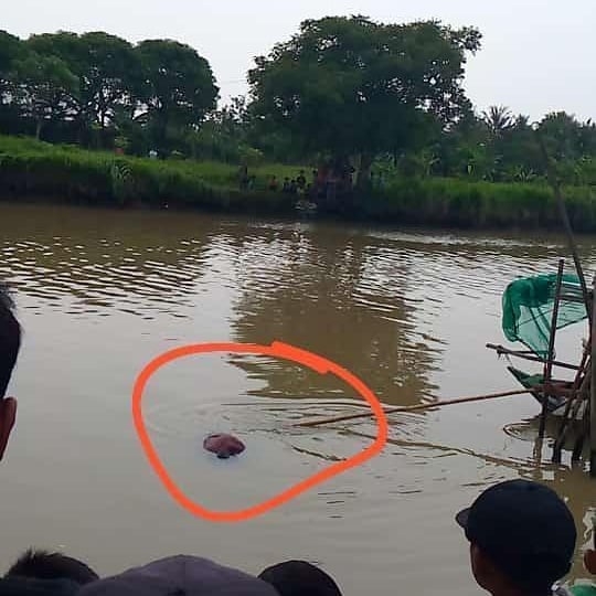 Sesosok mayat tanpa identitas berjenis kelamin laki-laki mengambang di sungai Cimanceuri, tepatnya di kampung selatip Desa Lontar, Kecamatan Kemiri, Kabupaten Tangerang, Kamis (06/05/2021).
