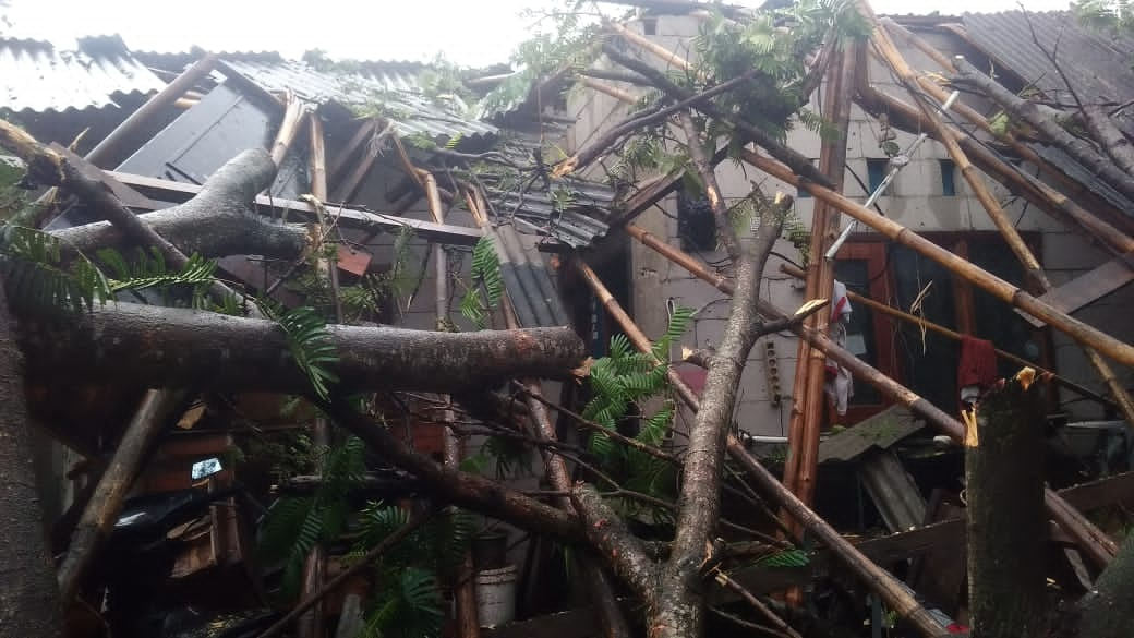 Reruntuhan pohon yang menimpa rumah warga Kecamatan Sindang Jaya akibat angin puting beliung di Kecamatan Sindang Jaya, Kabupaten Tangerang, Kamis 1 Juli 2021.