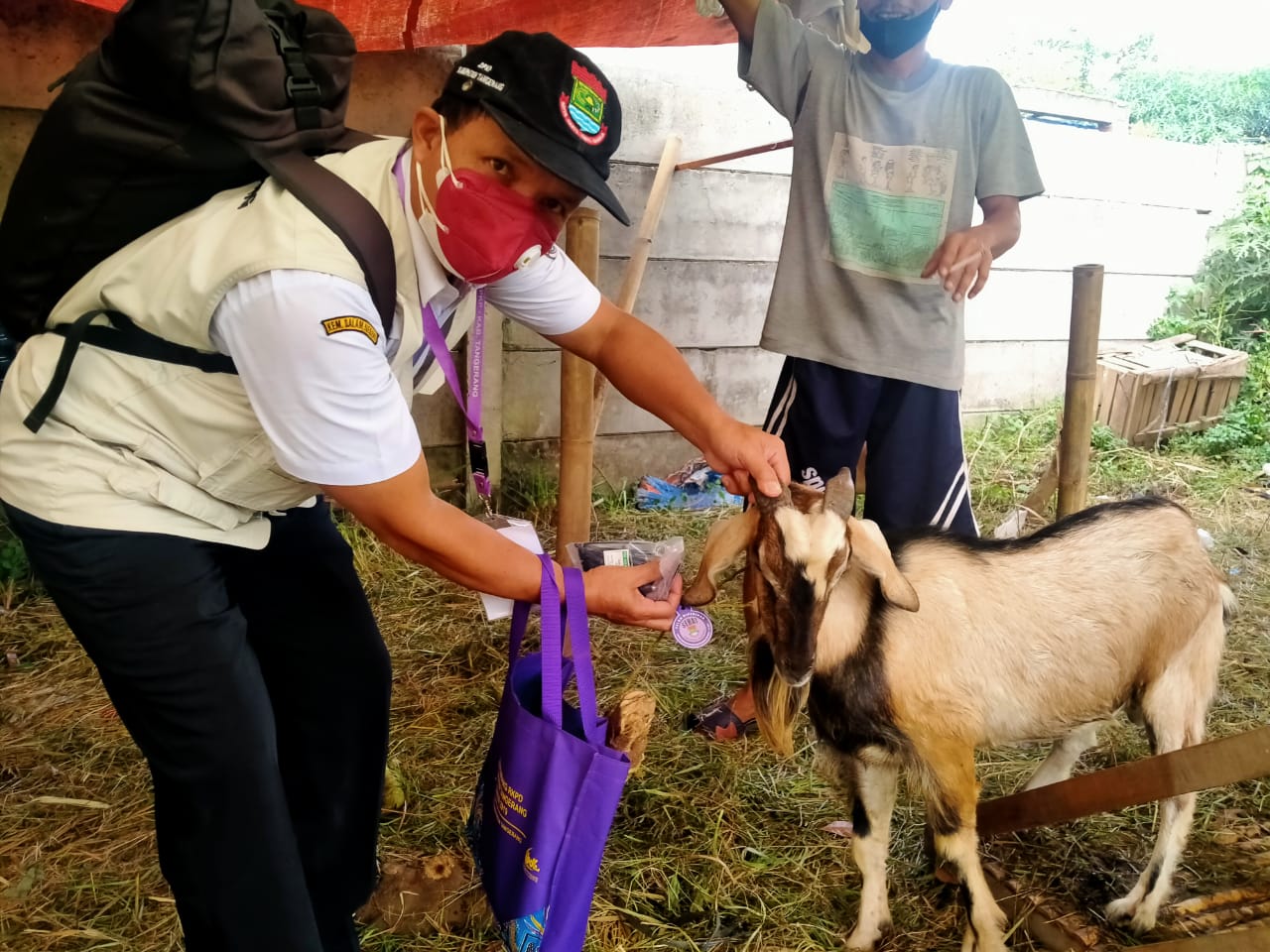 Dinas Pertanian dan Ketahanan Pangan (DPKP) melakukan pengecekan kesehatan pada hewan kurban secara serentak di 29 kecamatan, Selasa 13 Juli 2021.