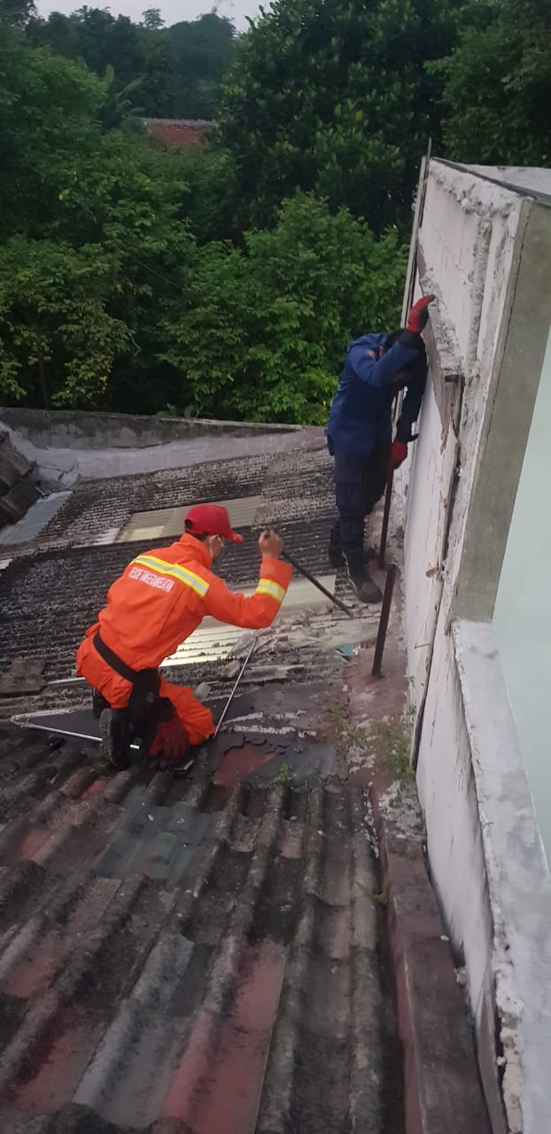 Petugas Dinas Pemadam Kebakaran dan Penyelamatan Kota Tangerang Selatan kembali berhasil mengevakuasi seekor ular jenis sanca yang menyelinap masuk ke rumah warga yang berlokasi di Perumahan Reni Jaya, Pamulang, Tangsel, Sabtu, 24 Juli 2021.