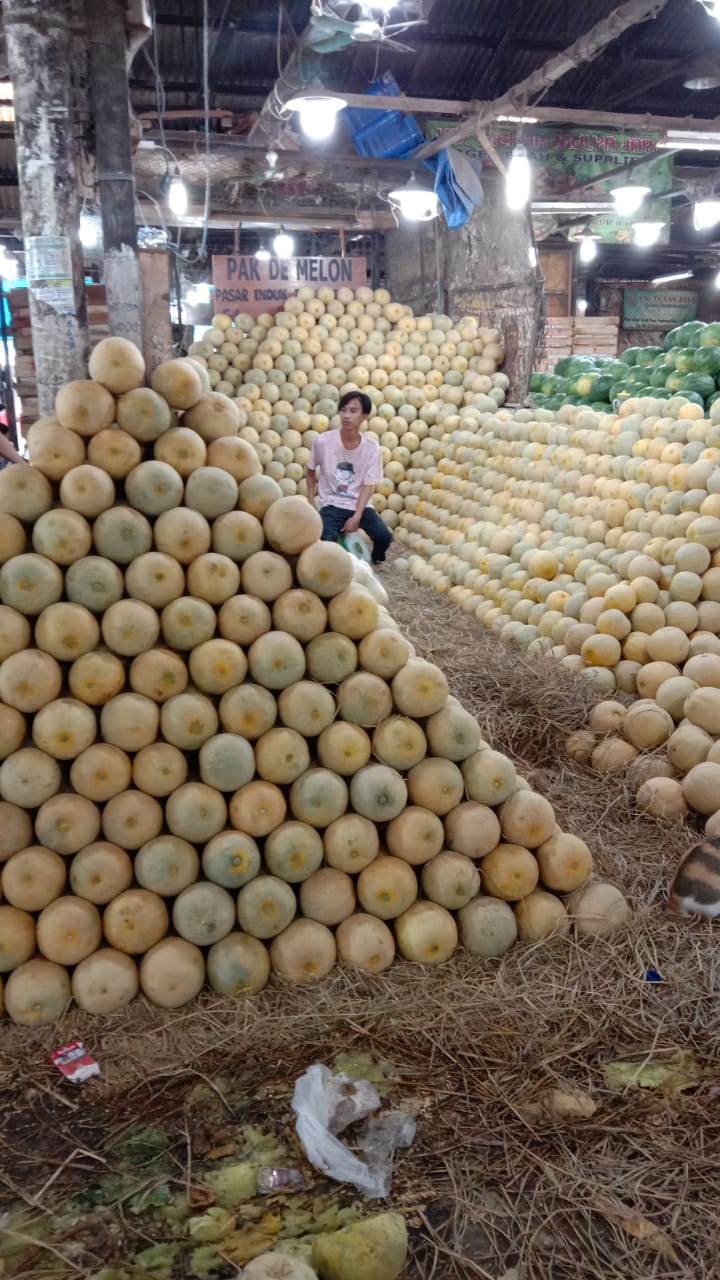 Sejumlah tumpukan buah melon siap untuk di jual.