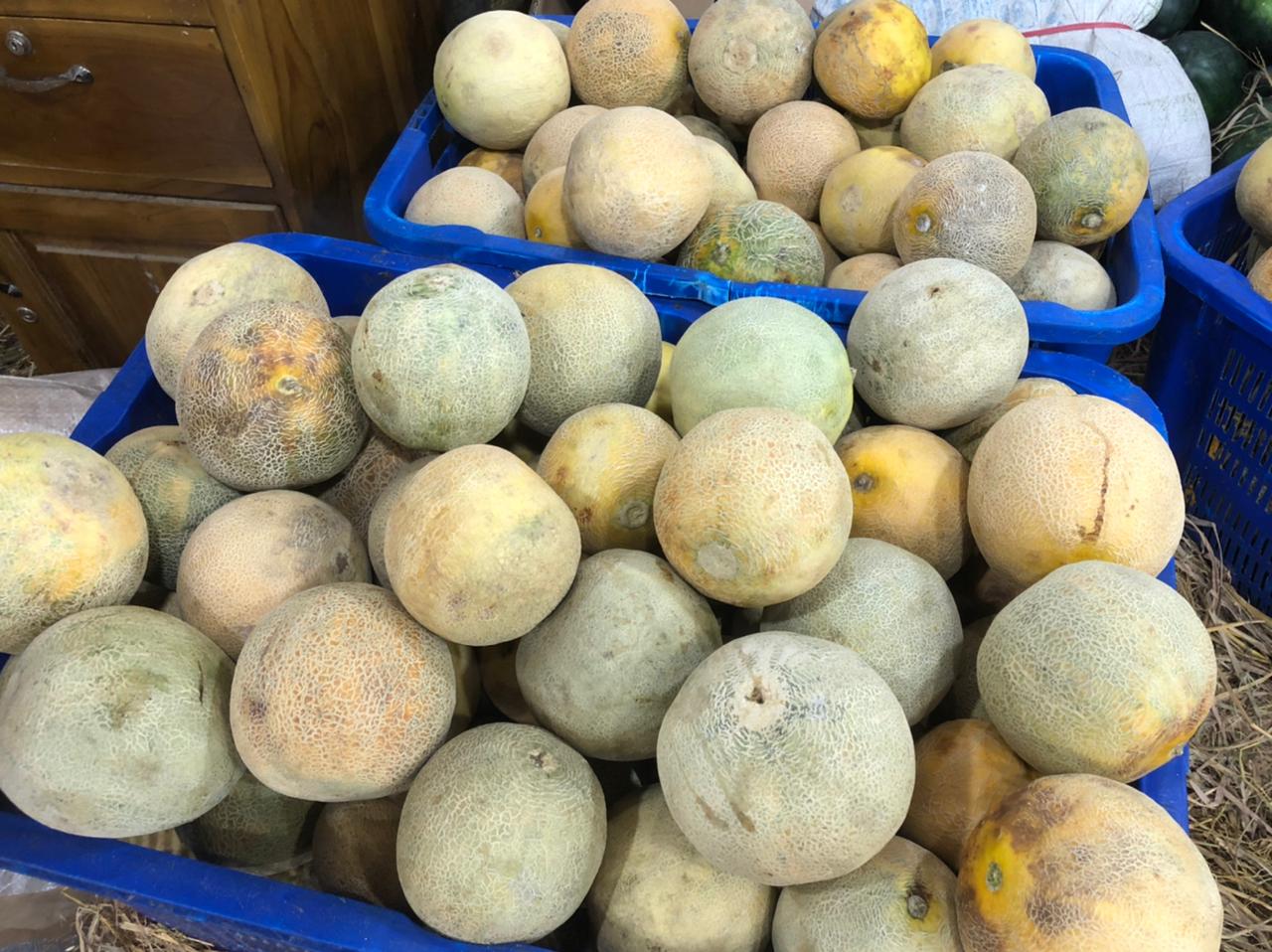 Sejumlah tumpukan buah melon siap untuk di jual.