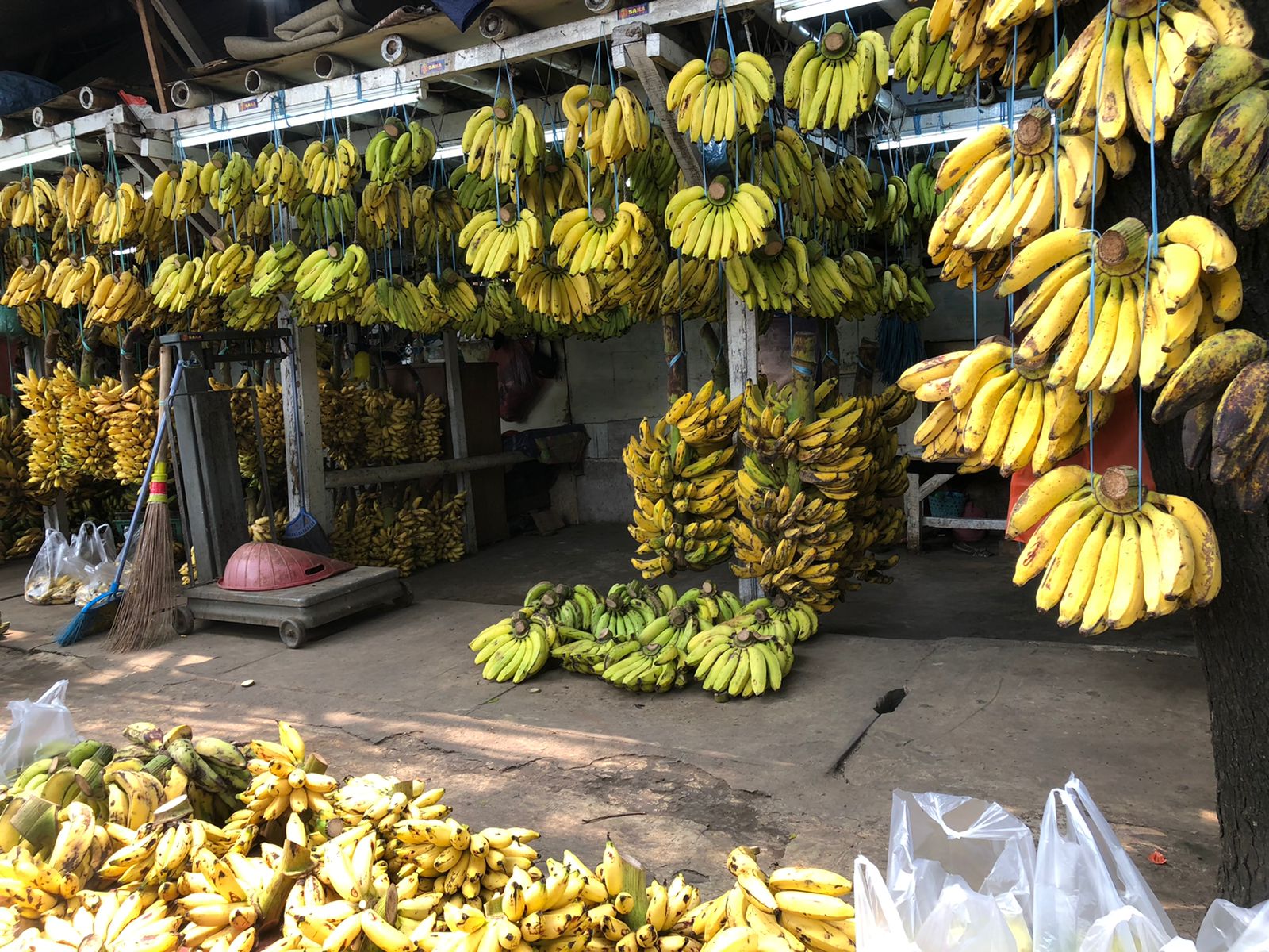 Sejumlah buah pisang yang berada di Pasar Lembang, Kecamatan Ciledug, Kota Tangerang, Jumat, 3 September.