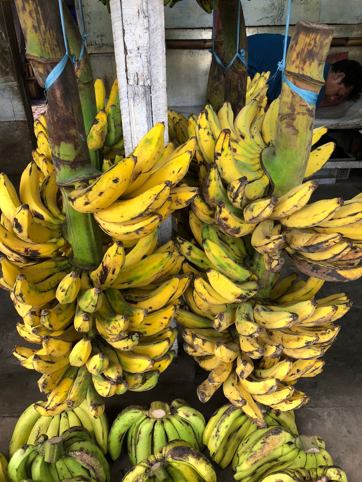 Sejumlah buah pisang yang berada di Pasar Lembang, Kecamatan Ciledug, Kota Tangerang, Jumat, 3 September.