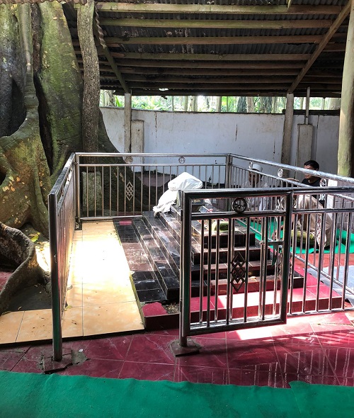 Sejumlah hewan liar jenis monyet berada diarea wisata alam Kawasan Hutan Monyet Solear di Jalan Cidahu, Kopo, Kecamatan Solear, Kabupaten Tangerang.