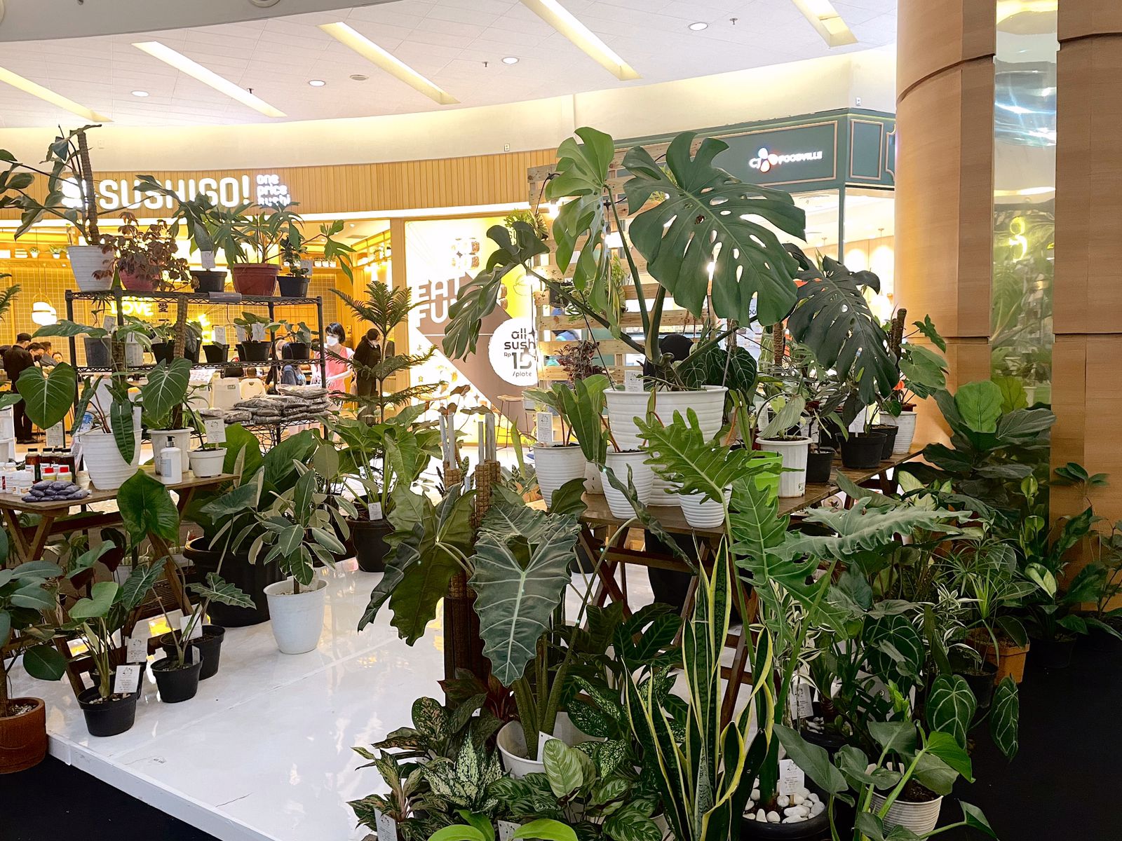 Tumbuhan dan tanaman hias, Summarecon Mall Serpong (SMS) kembali menghadirkan Urban Garden.