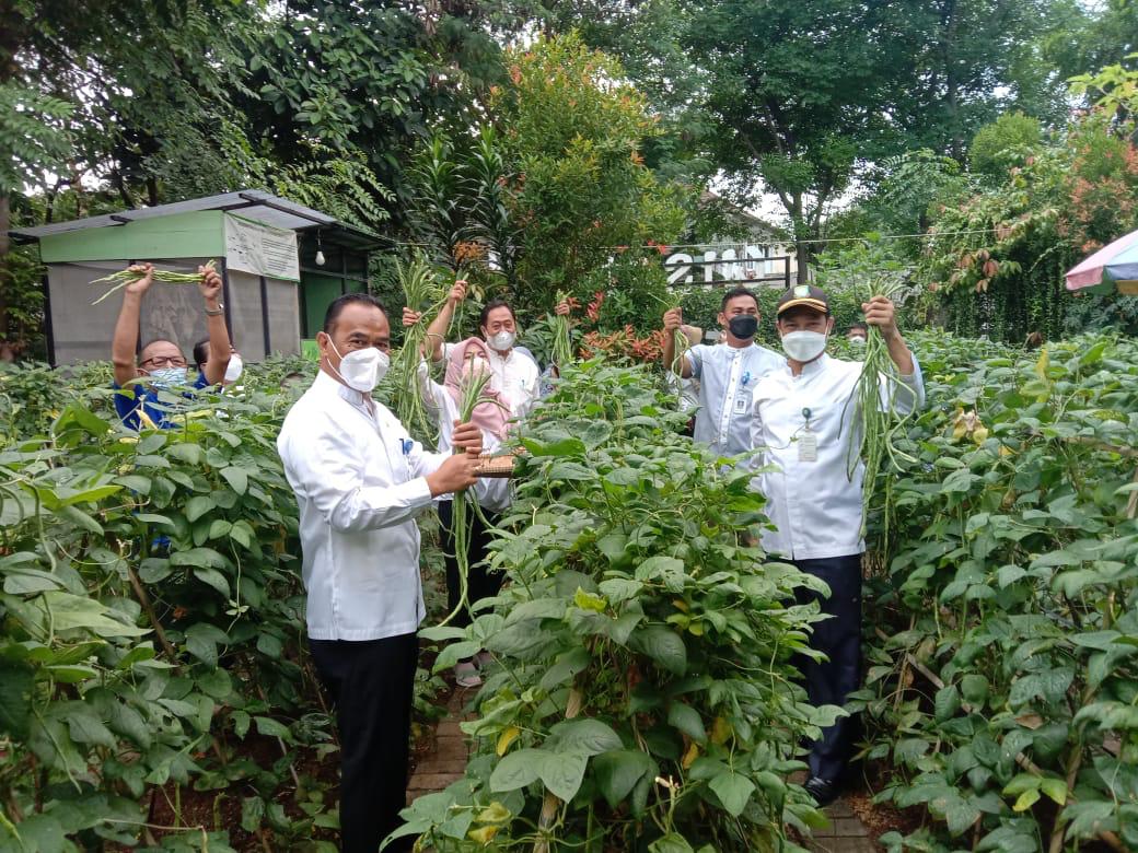 Wisata Edukasi DLH berhasil memanen belasan kilogram kacang panjang yang dipanen langsung oleh para pegawai dengan tetap menerapkan protokol kesehatan.