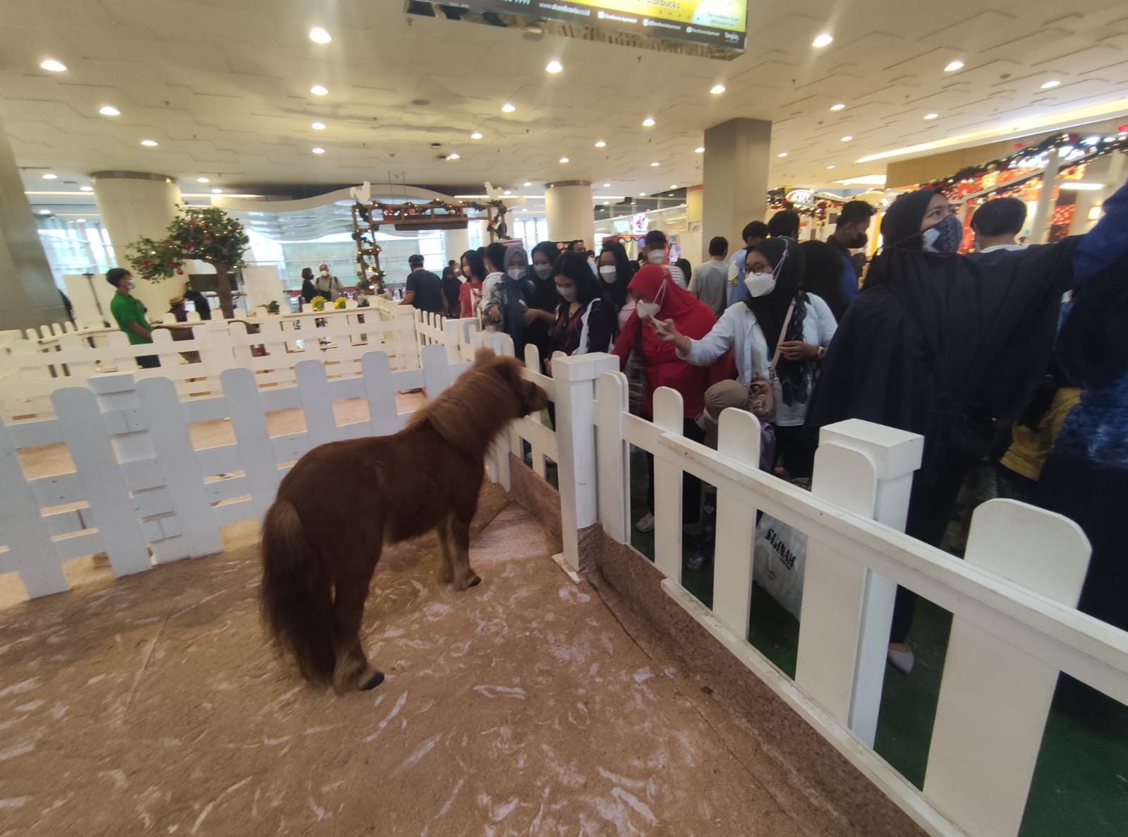 Momen liburan akhir tahun dengan nuansa peternakan ditampilkan lewat dekorasi serta kehadiran beberapa hewan mini sebagai sarana wisata edukasi cinta satwa dengan tema Jingle Barn di area Main Atrium, Lantai GF Tangcity Mal.