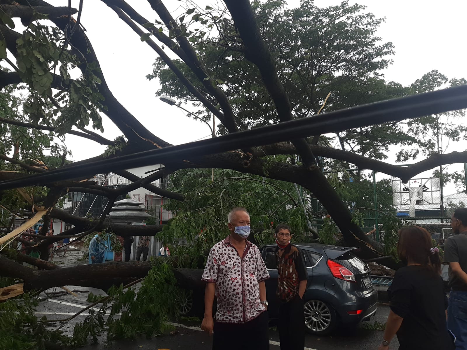 Satu unit mobil tertimpa pohon besar akibat hujan deras di sertai angin kencang.