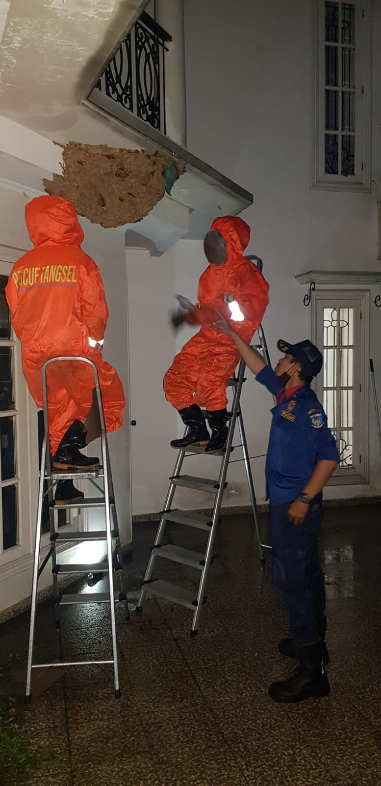 Petugas Dinas Pemadam Kebakaran dan Penyelamatan Kota Tangsel menghancurkan sarang tawon vespa berukuran sangat besar membuat geger pemilik rumah di Kawasan Puri Bintaro, Pondok Aren, Tangerang Selatan.