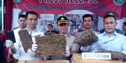 2 Jaringan Narkotika Ditangkap, 47 Kg Ganja dari Serpong Utara Disita  