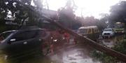 Hujan Deras, Pohon di Cipondoh Tumbang