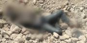 Warga Cilegon Temukan Mayat Membusuk di Lokasi Galian Batu