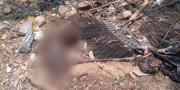 Jasad Bayi Perempuan Ditemukan Terbungkus Plastik di Cisauk
