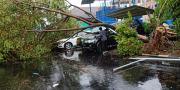 Hujan Deras Disertai Angin Kencang, Pohon-Billboard di Serang Roboh