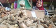 Dampak Virus Corona, Harga Temulawak & Jahe Melonjak di Tangerang 