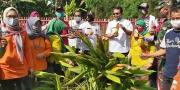 Pandemi, Warga Tangerang Didorong Urban Farming Tanaman & Ikan