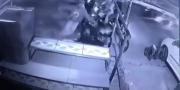 Video : Gengster Bersajam Serang Pria di Cipondoh
