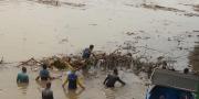 Sampah Genangi Sungai Cisadane Tangerang Bikin Warga Geram