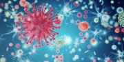 Virus Corona Varian Baru Asal India di Tangsel Pasien Dinyatakan Sembuh