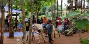 Piknik Asyik di Wisata Hutan Jati Sindang Jaya Tangerang