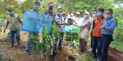 Peduli Lingkungan Hidup, WOM Finance Tanam Ribuan Pohon di Ciputat