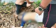 3 Anak Perempuan Tenggelam di Kubangan Sawah Dalam Tangerang, 1 Tewas & 1 Kritis