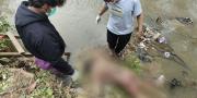 Mayat Wanita Tanpa Identitas Mengambang di Kali Angke Tangerang