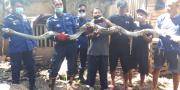 Ular Sepanjang 3 Meter Ditangkap di Rempoa Tangsel Usai Makan Ayam Warga