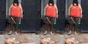 Wanita yang Pukuli Anjing Peliharaan di Poris Tangerang Dipolisikan