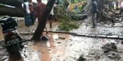 Hujan Angin, Pohon Asem 100 Tahun Tumbang Menimpa Rumah di Pinang Tangerang
