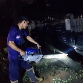Dua Pengendara Motor Jadi Korban Pohon Tumbang di Cikupa Tangerang