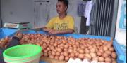  Harga Telur Ayam Buras di Kota Tangerang Tembus Rp29 Ribu per Kilogram