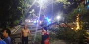 Pemuda di Kota Tangerang Tewas Tertimpa Pohon Tumbang