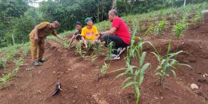 Warga Baduy Luar Diajari Jadi Petani Jahe Merah Berkualitas di Lebak Banten
